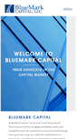 Mobile Screenshot of bluemarkcapital.com
